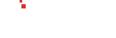 Diverse Tech Consulting